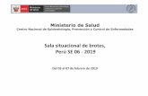 Sala situacional de brotes, Perú SE 06 - 2019