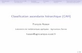 Classification ascendante hiérarchique (CAH)