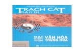 Phapmatblog Trach Cat Than Bi