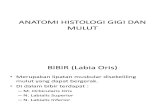 Anatomi Histologi Gigi Dan Mulut