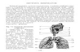 2.Sistemul Respirator