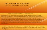 Propunere Credit Albalact S.a