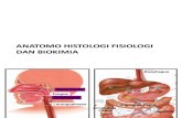 Anatomo Histologi Fisiologi Dan Biokimia Tutoria Nyeri