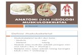 Anatomi Dan Fisiologi Muskuloskeletal