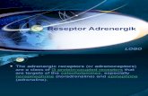 Reseptor Adrenergik