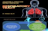 Anatomi Fisiologi Sitem Respirasi