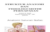 Struktur Anatomi Dan Fisiologi Sistim Pernapasan Oleh Dr. Robert