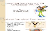Ppt Anatomi Fisiologi Sistem Reproduksi Wanita