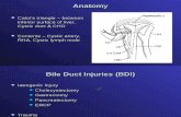Management of Iatrogenic Biliary Injury During Laparoscopic Cholecystectomy