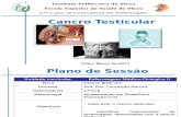 Cancro Testicular
