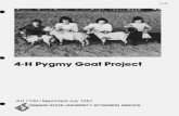 Pygmy Goat Project