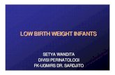 32. Bayi Berat Lahir Rendah Lecture_dr. Setya Wandita