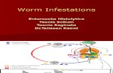 Worm Infestations 2