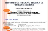 HISTOLOGI TULANG KERAS & RAWAN.pdf (dr.Rita).pdf