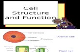 BIOLOGY FORM 4 BAB 1 Cell Structure (2)