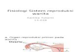 Fisiologi Sistem Reproduksi Wanita