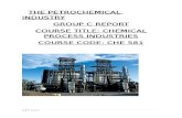 Group C Presentation- Petrochemicals (UPDATED)