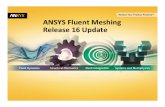 Ansys Fluent Meshing Release 16 Update