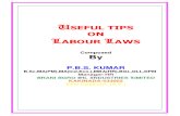 Useful Tips on Labour Laws