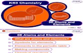8E Atoms and