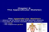 Ch 8 - Appendicular Skeleton s2009