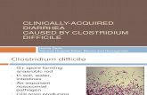 Clinically-Acquired Diarrhea Caused by Clostridium Difficile