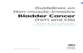 TaT1 Bladder Cancer EAU