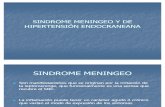 SINDROME_MENINGEO sindromes