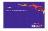 Manual Corporativo Marca Chile
