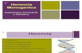 Diapositiva Genetica Medica Herencia Monogenica Autosomica