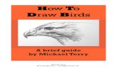 How Draw Birds