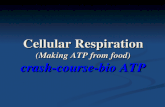 Cellular Respiration (Making ATP from food) crash-course-bio ATP crash-course-bio ATP crash-course-bio ATP