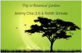 Trip to Botanical Gardens