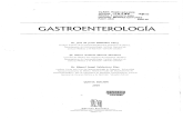Villalobos  gastroenterologia