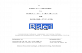Bisleri Marketing Strategies - 77 Pages (1)