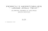 PEMICU 2 HEPATOBILIER