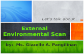 External environmental scan   report