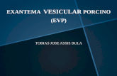 Exantema Vesicular Porcino (Evp)