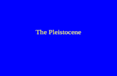 The Pleistocene