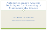 Automated Image Analysis Techniques for Screening of Mammography Images