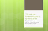 vitaminas hidrosolubles y liposolubles y funcion conenzimatica