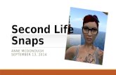 Second life snaps