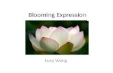 Blooming Expression