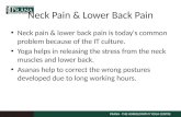 Neck Pain & Lower Back Pain