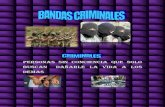Bandas criminales