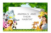 Animals & their habitat