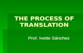 Chapter 3 The Process of Translation Chapter 3