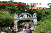 Best Tour and Travel in Balasore