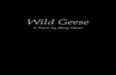 Wild Geese