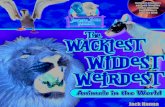 Jungle Jack's Wildest, Wackiest, Weirdest Animals